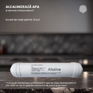 2-Alkaline copy