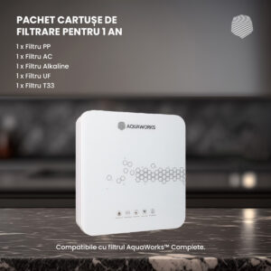 2-Packet main copy